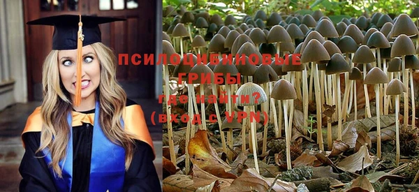 дурь Мегион