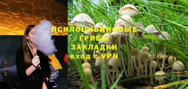 соль курить ск Медвежьегорск