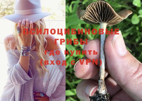 соль курить ск Медвежьегорск