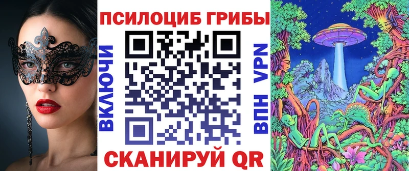 наркотики  ОМГ ОМГ рабочий сайт  shop как зайти  Баймак  Псилоцибиновые грибы Psilocybine cubensis 