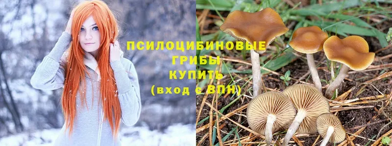 Псилоцибиновые грибы Magic Shrooms  OMG зеркало  Баймак 